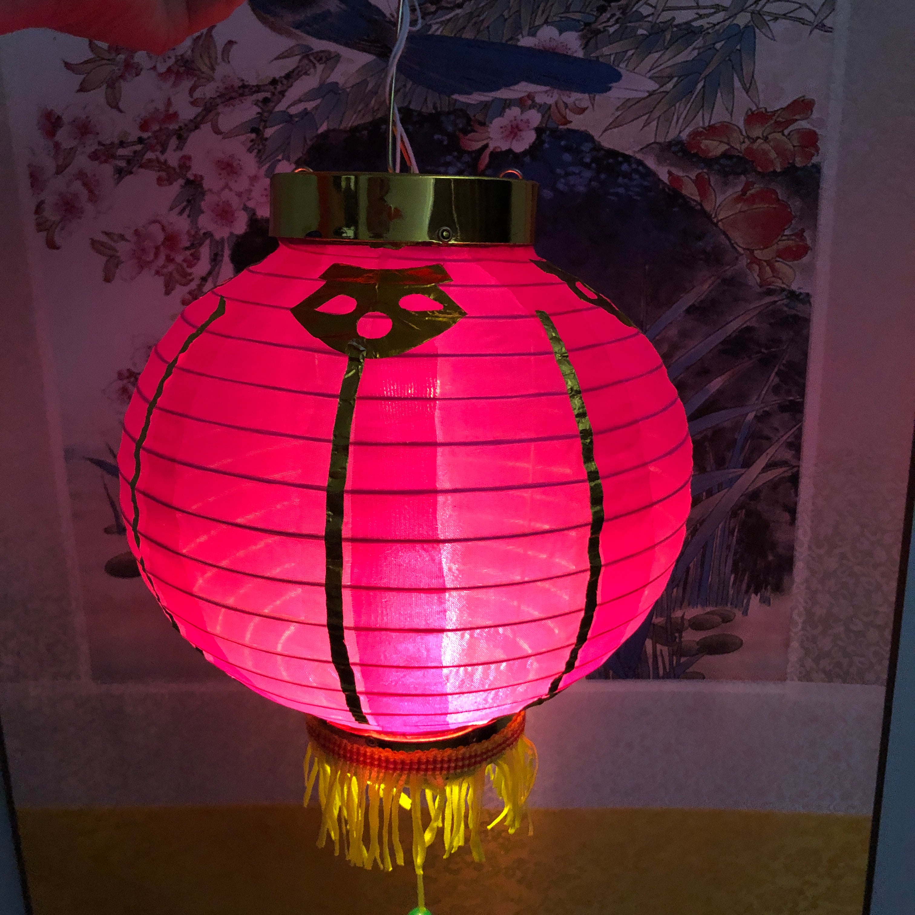 lantern light