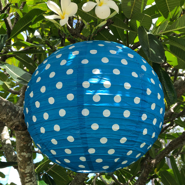 blue paper lantern