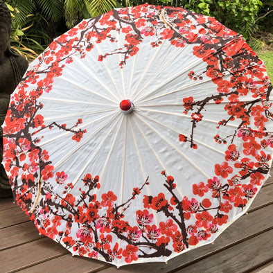 Nylon Parasol - Plum blossoms