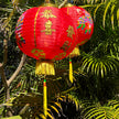 chinese new year lantern