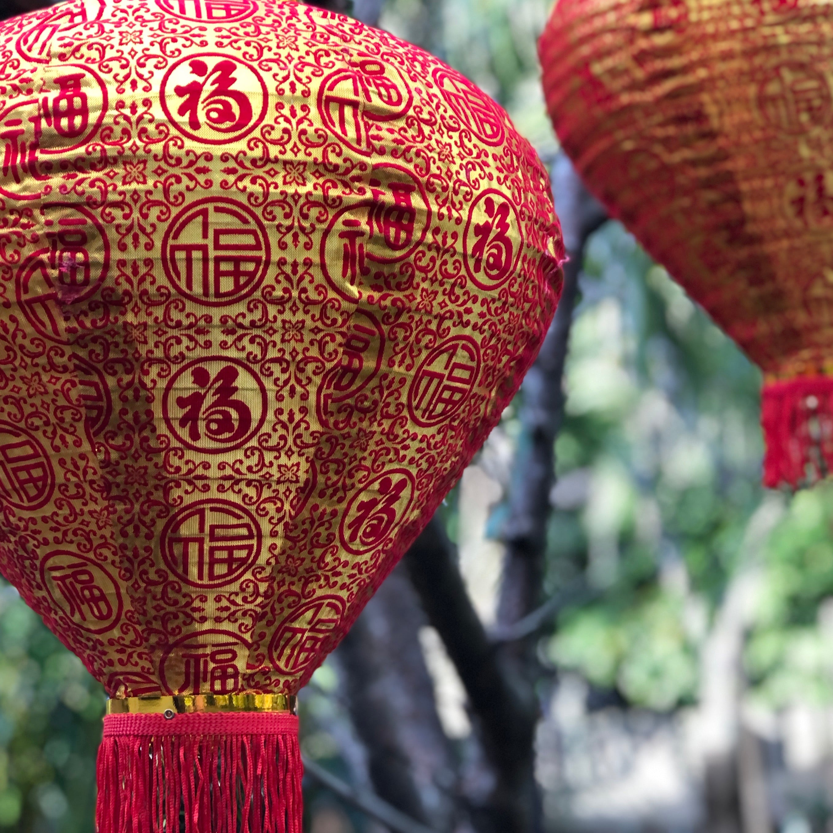 lunar new year lantern