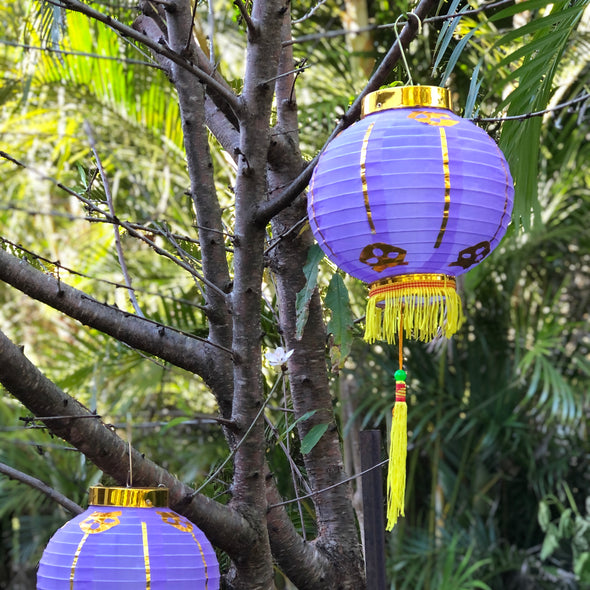 purple Chinese lantern