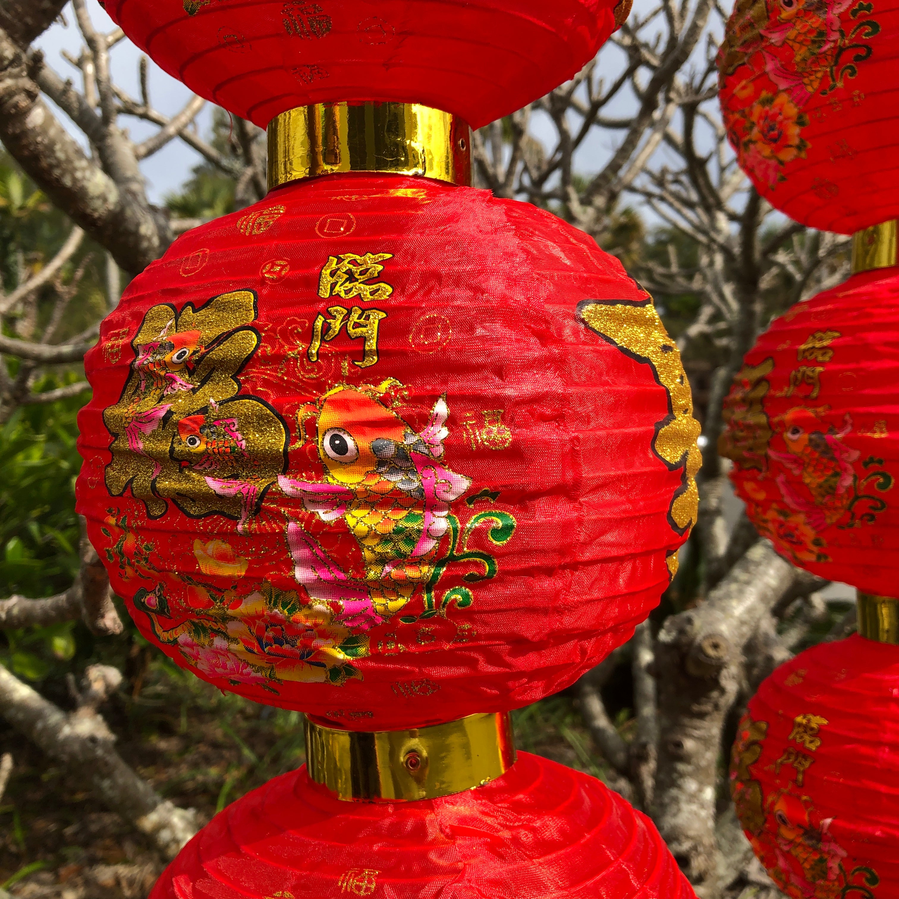 Red Chinese lantern