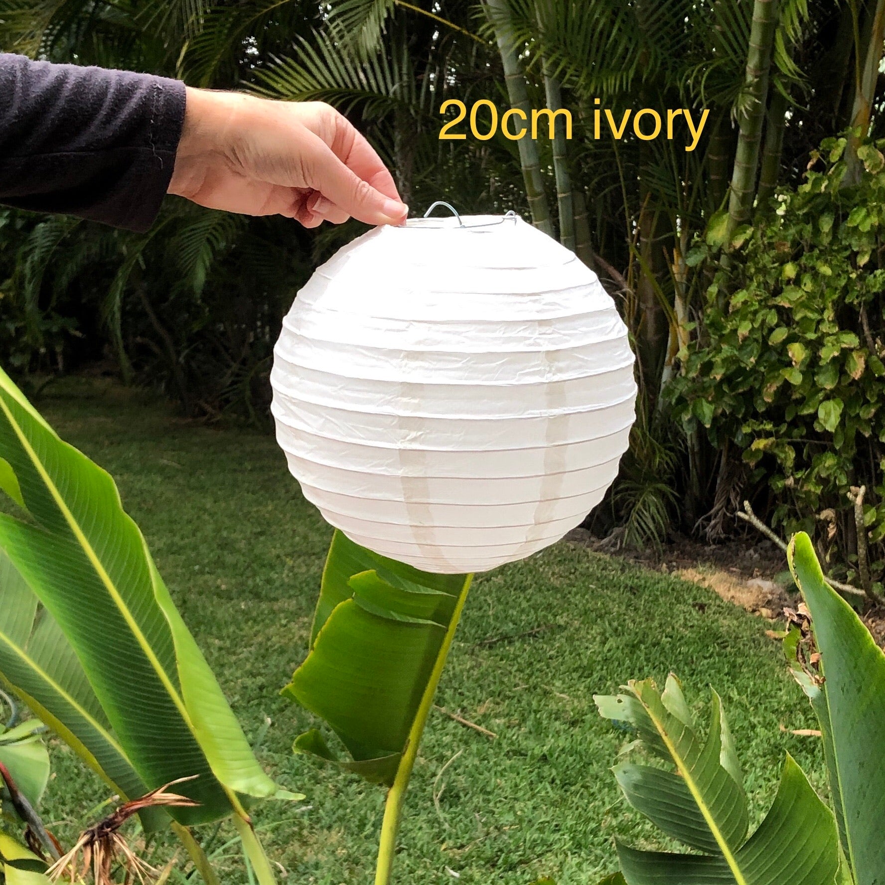 ivory paper lantern