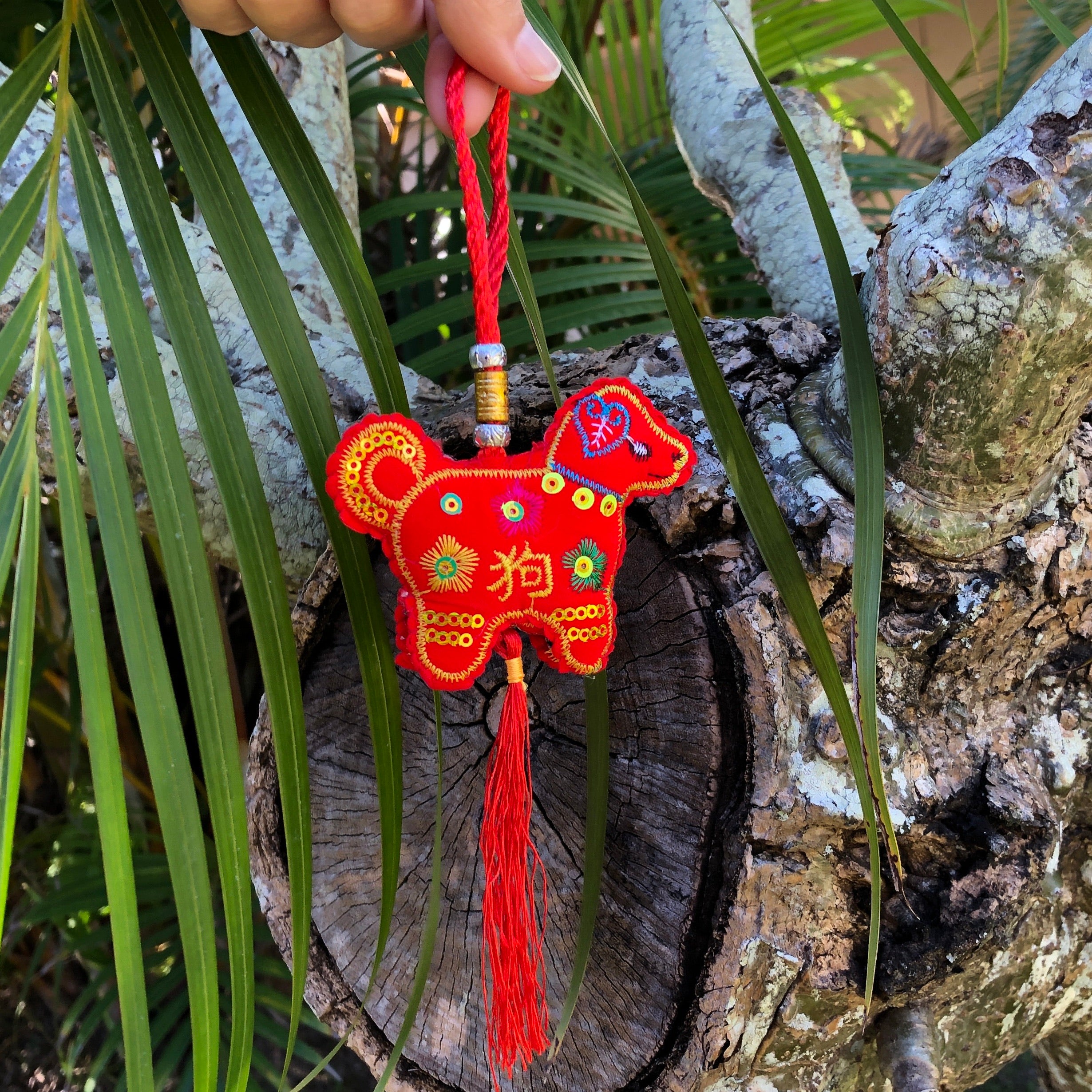 Chinese new year decoration