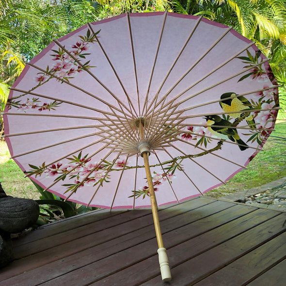 Chinese paper parasol - pink cherry blossoms and birds