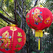 Chinese Lanterns