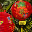 Chinese red lanterns