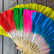 Chinese fan