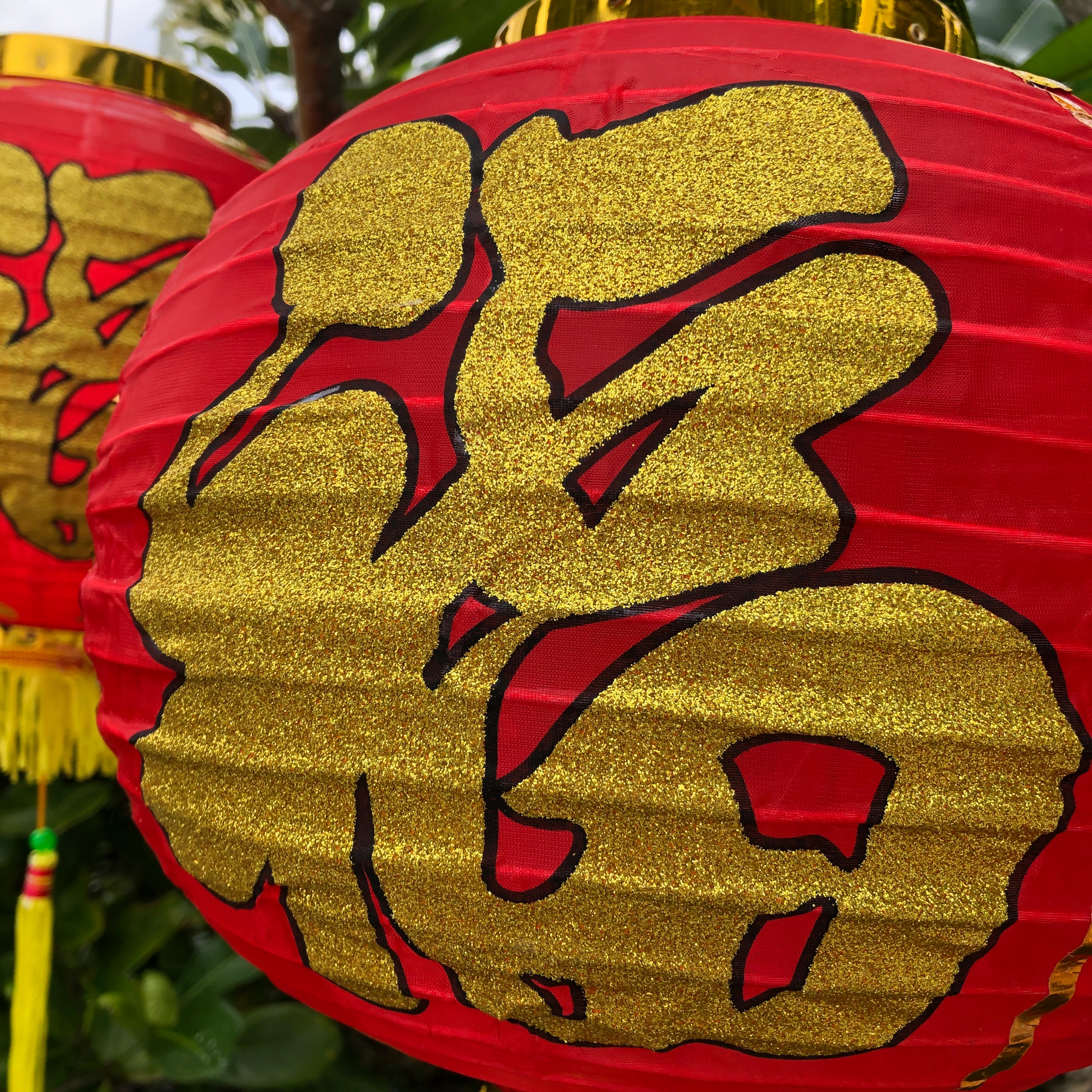 Chinese new year lantern