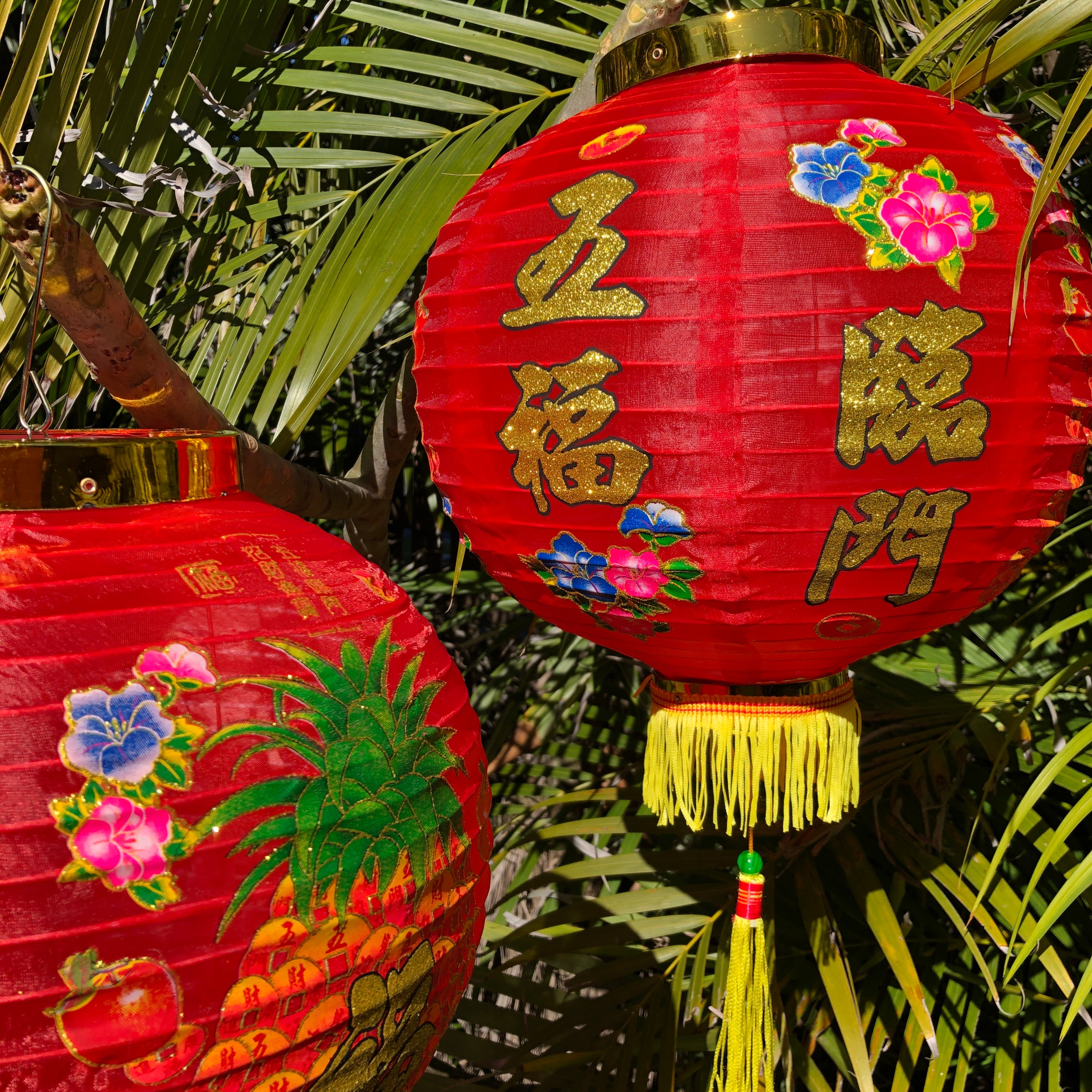 Chinese new year lantern