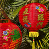 Chinese new year lantern