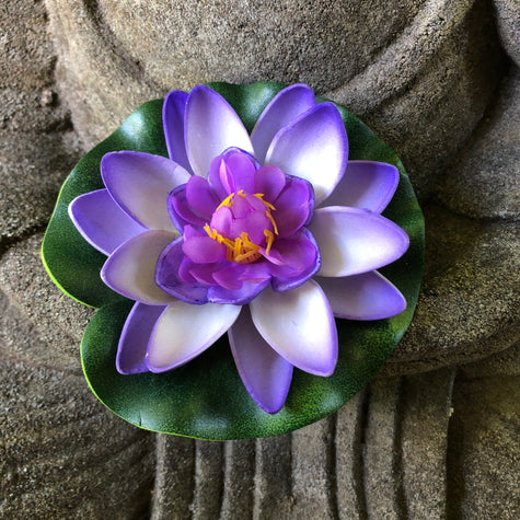 purple lotus flower