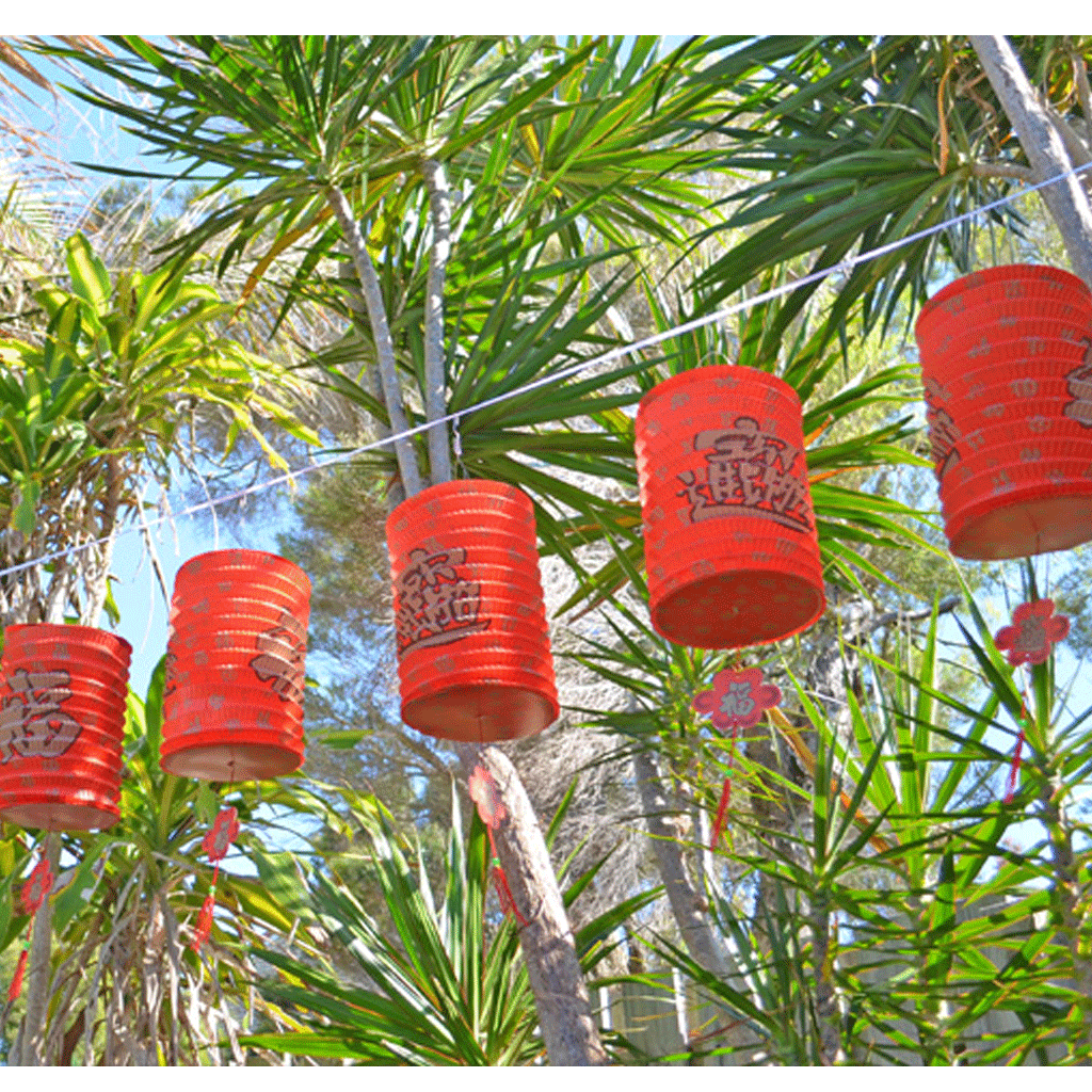 Red Chinese lanterns