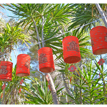 Red Chinese lanterns