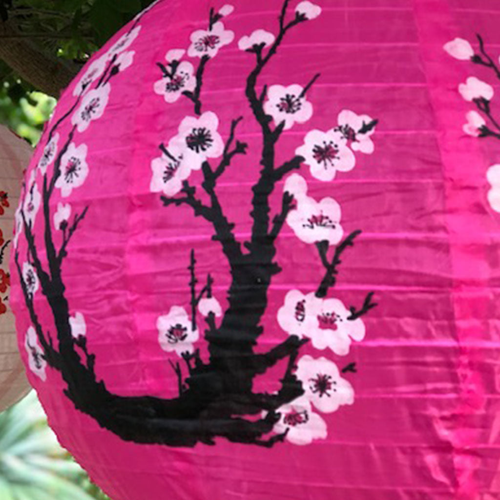 cherry blossom lantern