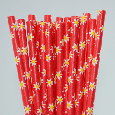 Red Paper Straw