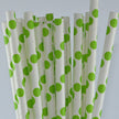 Paper Straw - Polka Dot Paper Straw 