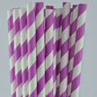 Paper Straw - Stripe Paper Straws - Pack Of 25