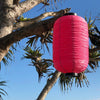 Pink Japanese Lantern
