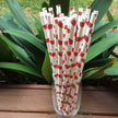 watermelon paper straws